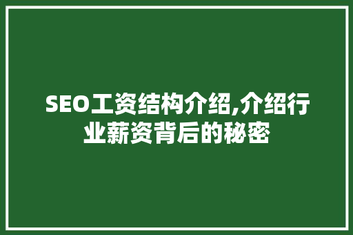 SEO工资结构介绍,介绍行业薪资背后的秘密