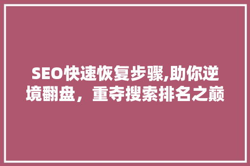 SEO快速恢复步骤,助你逆境翻盘，重夺搜索排名之巅