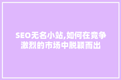 SEO无名小站,如何在竞争激烈的市场中脱颖而出