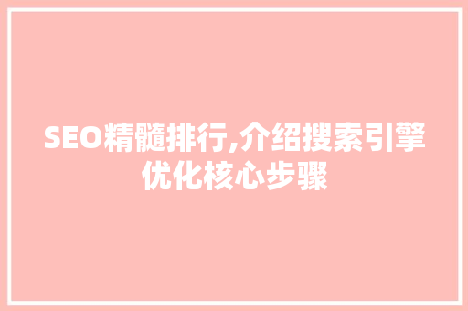 SEO精髓排行,介绍搜索引擎优化核心步骤