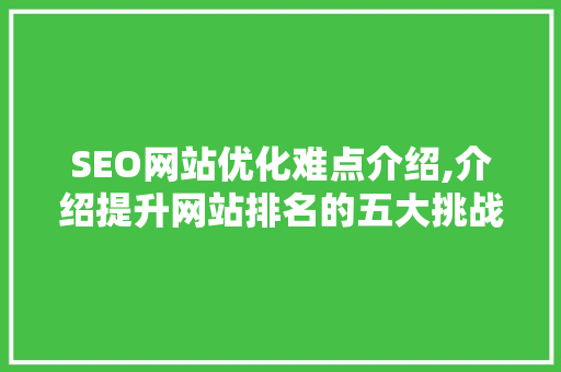 SEO网站优化难点介绍,介绍提升网站排名的五大挑战  第1张