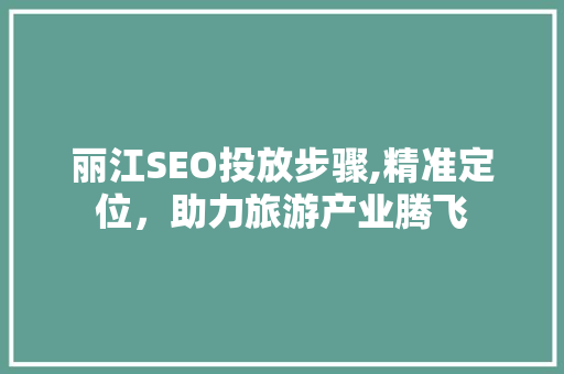 丽江SEO投放步骤,精准定位，助力旅游产业腾飞