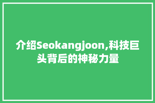 介绍Seokangjoon,科技巨头背后的神秘力量