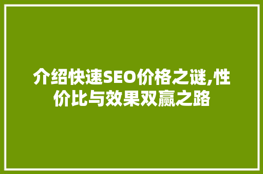 介绍快速SEO价格之谜,性价比与效果双赢之路
