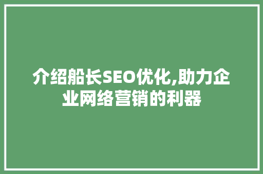 介绍船长SEO优化,助力企业网络营销的利器