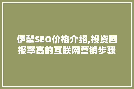伊犁SEO价格介绍,投资回报率高的互联网营销步骤