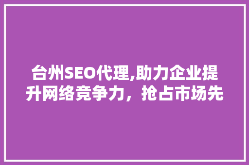 台州SEO代理,助力企业提升网络竞争力，抢占市场先机
