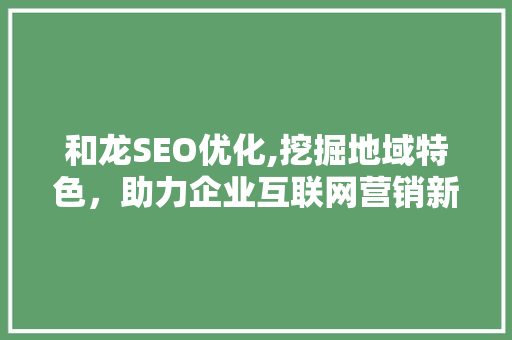 和龙SEO优化,挖掘地域特色，助力企业互联网营销新篇章