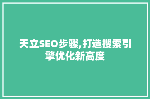 天立SEO步骤,打造搜索引擎优化新高度