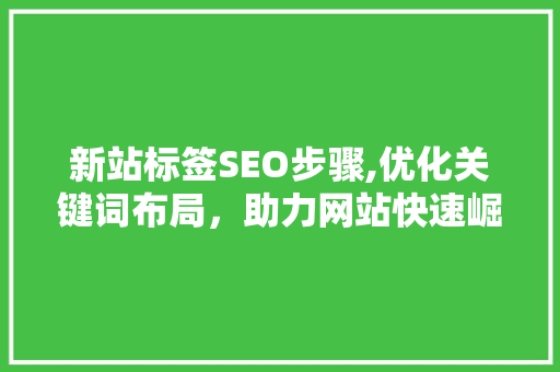 新站标签SEO步骤,优化关键词布局，助力网站快速崛起