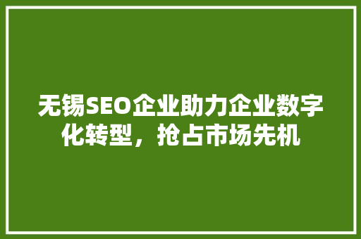 无锡SEO企业助力企业数字化转型，抢占市场先机