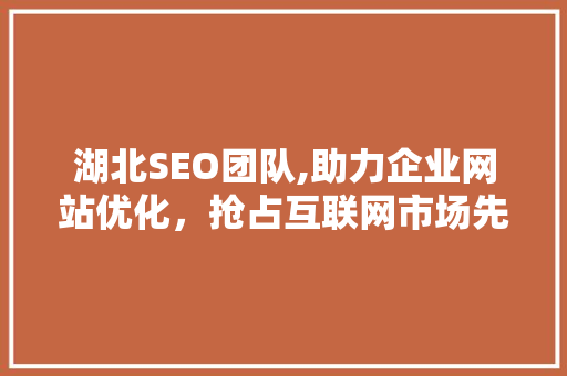 湖北SEO团队,助力企业网站优化，抢占互联网市场先机