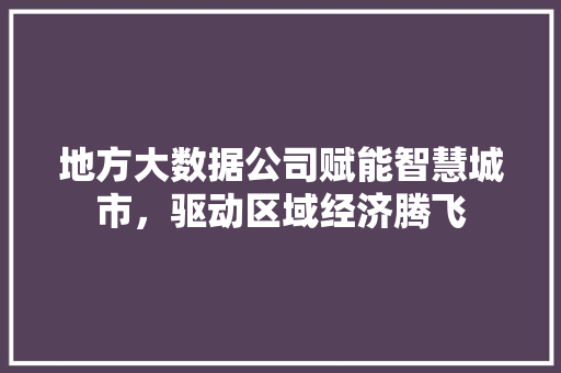 地方大数据公司赋能智慧城市，驱动区域经济腾飞  第1张