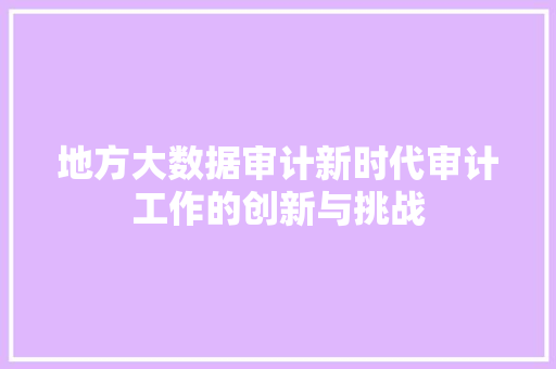 地方大数据审计新时代审计工作的创新与挑战