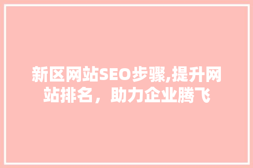 新区网站SEO步骤,提升网站排名，助力企业腾飞