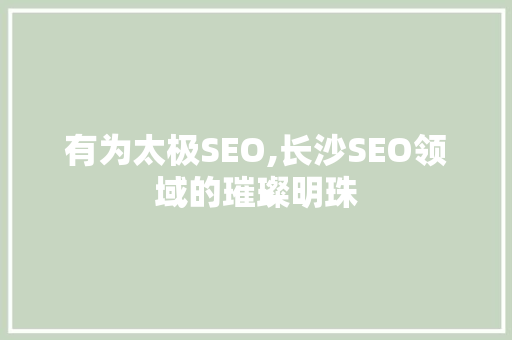 有为太极SEO,长沙SEO领域的璀璨明珠