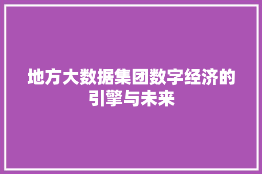 地方大数据集团数字经济的引擎与未来  第1张