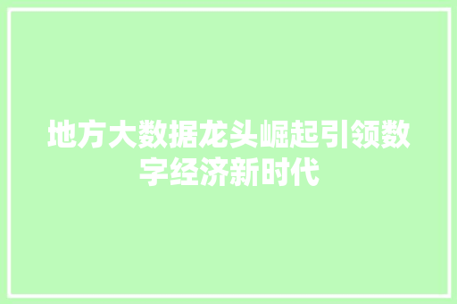 地方大数据龙头崛起引领数字经济新时代  第1张