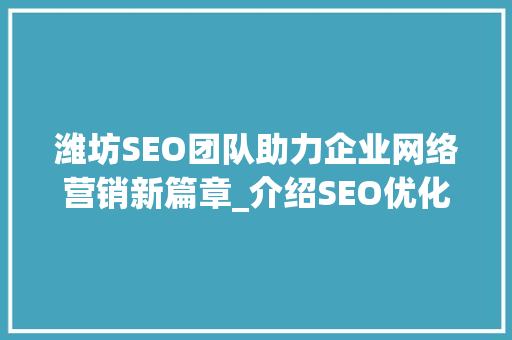 潍坊SEO团队助力企业网络营销新篇章_介绍SEO优化之路