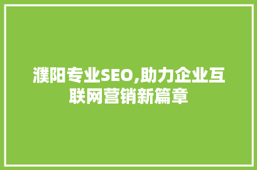 濮阳专业SEO,助力企业互联网营销新篇章  第1张