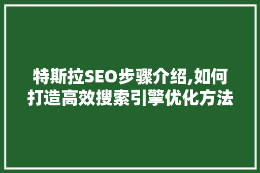 特斯拉SEO步骤介绍,如何打造高效搜索引擎优化方法