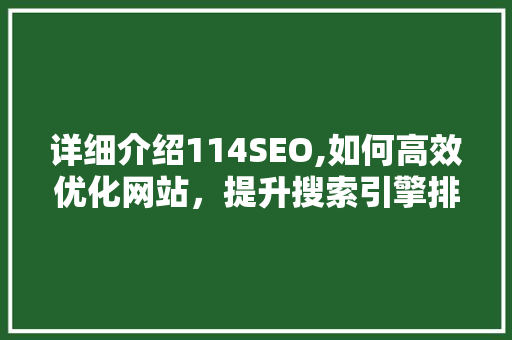 详细介绍114SEO,如何高效优化网站，提升搜索引擎排名