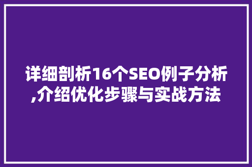 详细剖析16个SEO例子分析,介绍优化步骤与实战方法  第1张