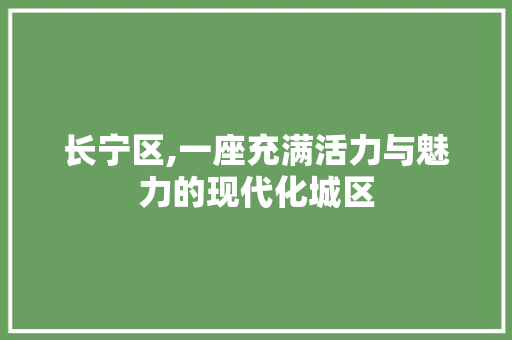 长宁区,一座充满活力与魅力的现代化城区