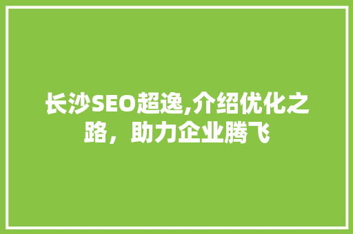 长沙SEO超逸,介绍优化之路，助力企业腾飞