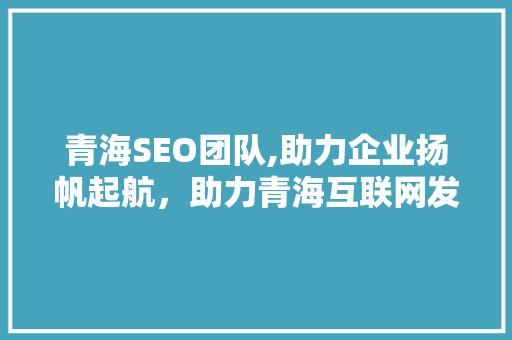 青海SEO团队,助力企业扬帆起航，助力青海互联网发展