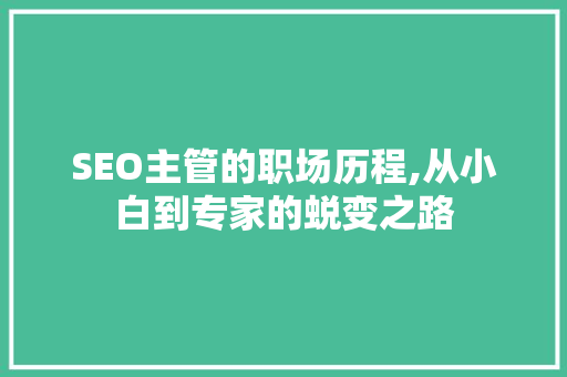 SEO主管的职场历程,从小白到专家的蜕变之路
