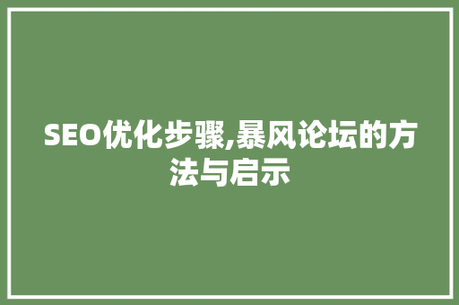 SEO优化步骤,暴风论坛的方法与启示