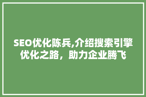 SEO优化陈兵,介绍搜索引擎优化之路，助力企业腾飞