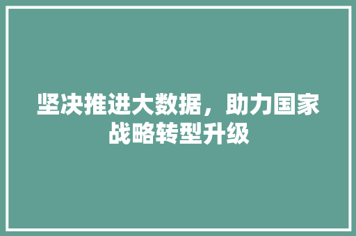 坚决推进大数据，助力国家战略转型升级