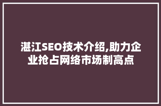 湛江SEO技术介绍,助力企业抢占网络市场制高点