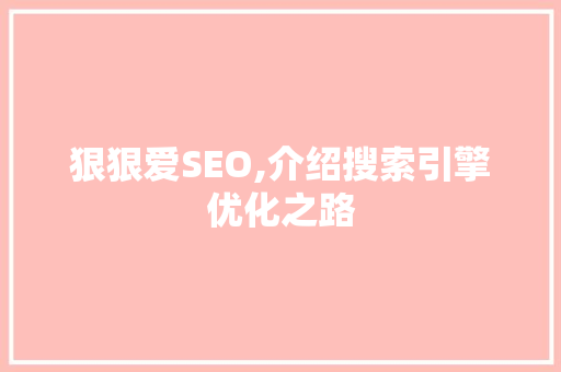 狠狠爱SEO,介绍搜索引擎优化之路