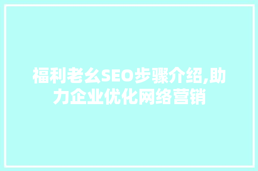 福利老幺SEO步骤介绍,助力企业优化网络营销