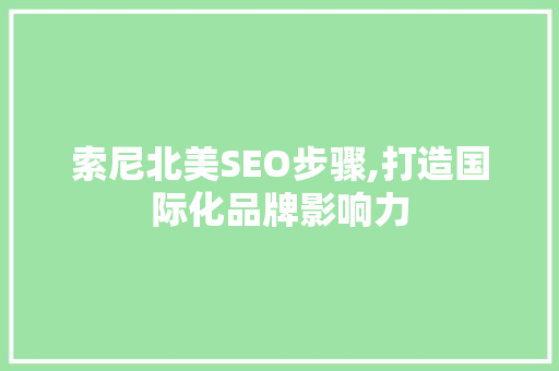 索尼北美SEO步骤,打造国际化品牌影响力