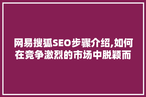 网易搜狐SEO步骤介绍,如何在竞争激烈的市场中脱颖而出