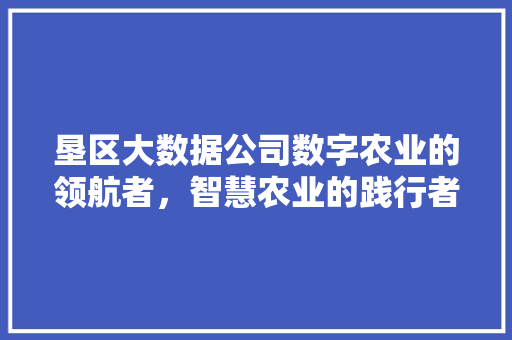 垦区大数据公司数字农业的领航者，智慧农业的践行者  第1张