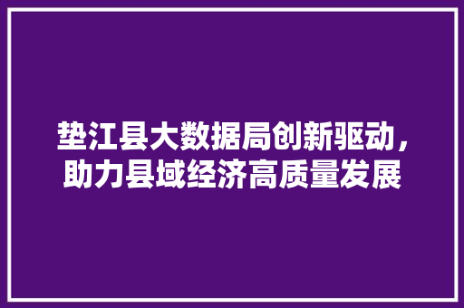 垫江县大数据局创新驱动，助力县域经济高质量发展