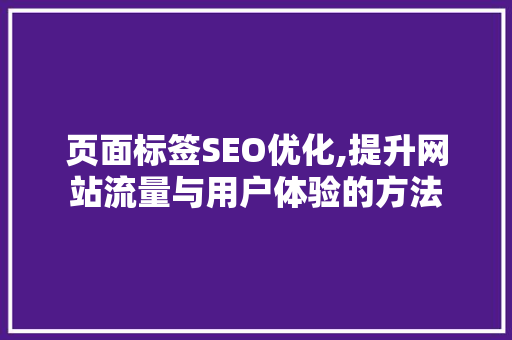 页面标签SEO优化,提升网站流量与用户体验的方法
