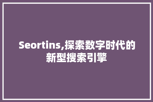 Seortins,探索数字时代的新型搜索引擎