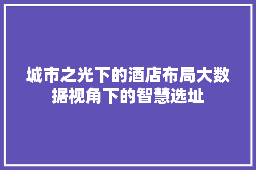 城市之光下的酒店布局大数据视角下的智慧选址  第1张