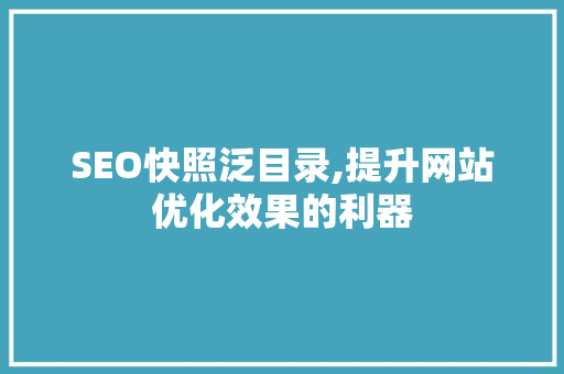 SEO快照泛目录,提升网站优化效果的利器