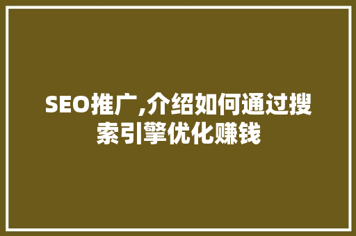 SEO推广,介绍如何通过搜索引擎优化赚钱