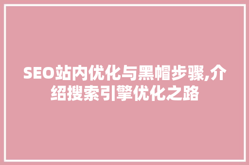 SEO站内优化与黑帽步骤,介绍搜索引擎优化之路