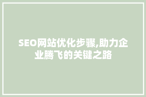 SEO网站优化步骤,助力企业腾飞的关键之路