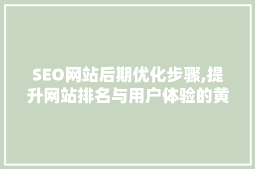 SEO网站后期优化步骤,提升网站排名与用户体验的黄金法则