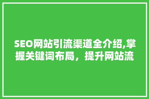 SEO网站引流渠道全介绍,掌握关键词布局，提升网站流量与转化